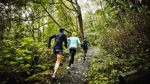 Welke afstand is ideaal voor je eerste trailrun ?