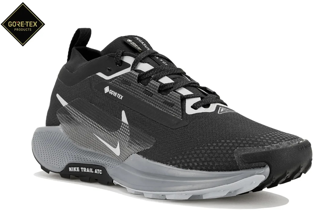Nike Pegasus Trail 5 GTX Heren -1